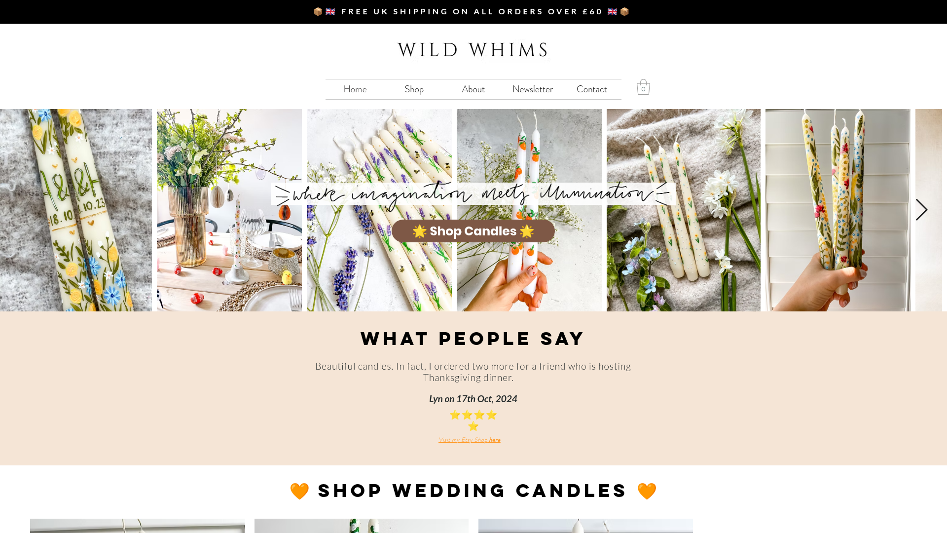 Wild Whims homepage preview